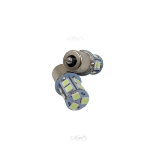 FOCO CS114113IBST
