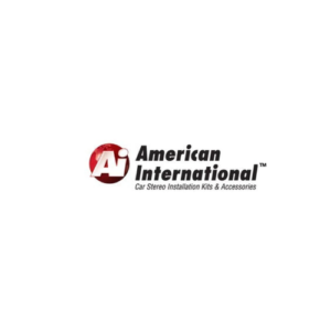 AMERICAN INTERNATIONAL