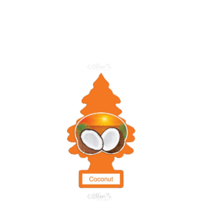 AROMATIZANTE LITTLE TREES COCONUT PINOPZA