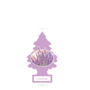 AROMATIZANTE LITTLE TREES LAVANDA PINOPZA