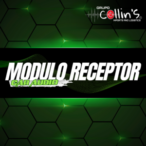 MÓDULO RECEPTOR