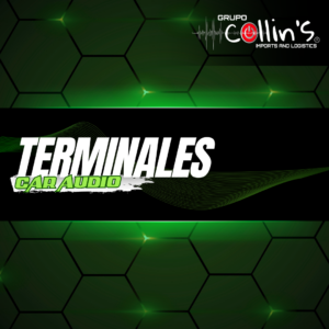 TERMINALES