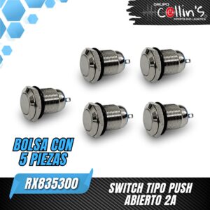 SWITCH TIPO PUSH ABIERTO 2A RX835300